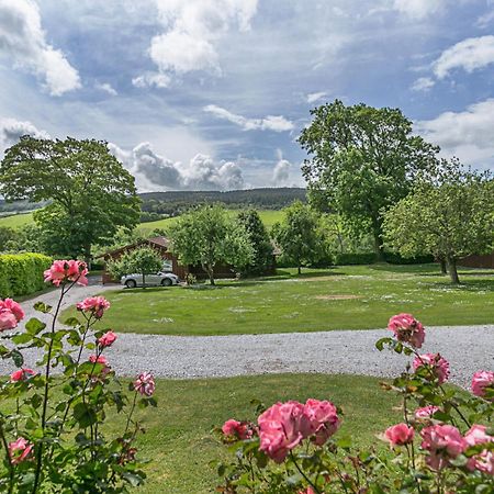 Laburnum Lodge Sleeps 6 Wheelchair Access Minehead Bagian luar foto