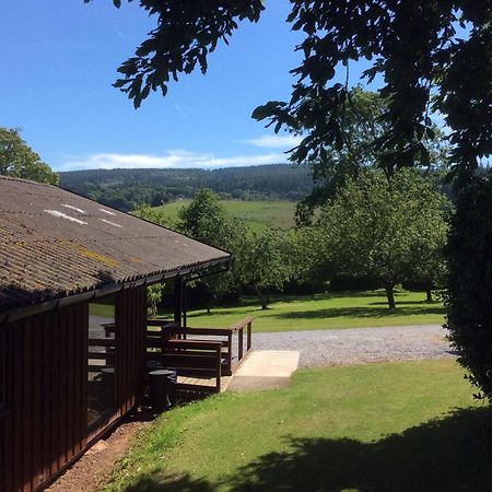 Laburnum Lodge Sleeps 6 Wheelchair Access Minehead Bagian luar foto